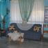 Poseidon Apartments, alojamiento privado en Kefalonia, Grecia - poseidon-apartments-skala-kefalonia-20