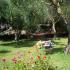 Joannas Studios, Privatunterkunft im Ort Lassii, Griechenland - joannas-studios-lassi-kefalonia-7