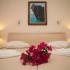 THALASSA APARTMANI, privatni smeštaj u mestu Lefkada, Grčka - STUDIO 2 BEDROOM