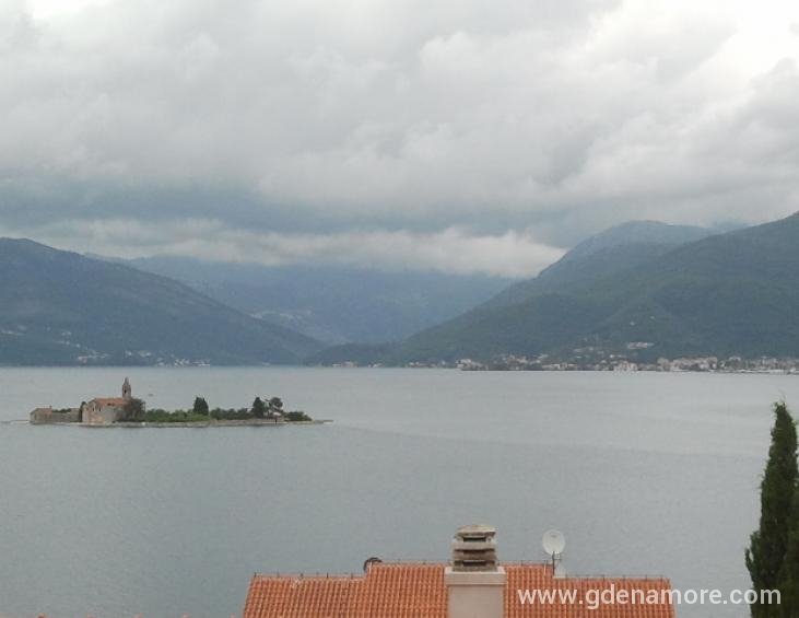 pogled