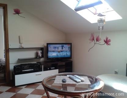 Apartman Spasojevic, Частный сектор жилья Будва, Черногория