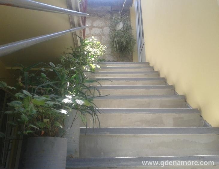 Apartman br. 5