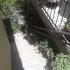 Apartmani Obala Meljine, privatni smeštaj u mestu Meljine, Crna Gora - Apartman br. 5