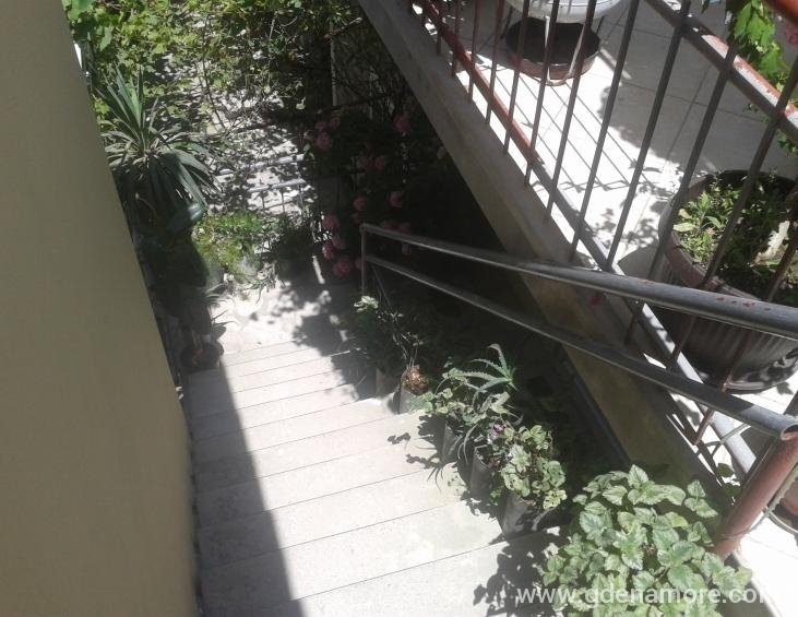 Apartman br. 5