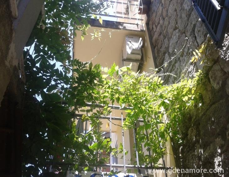 Apartman br. 3