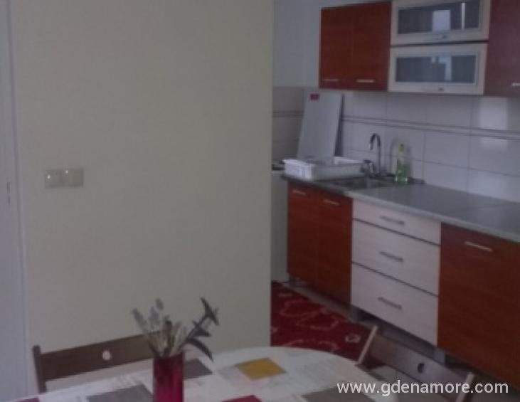 Veliki apartman-kuhinja