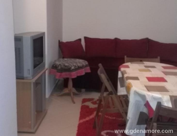 Veliki apartman-dnevni boravak