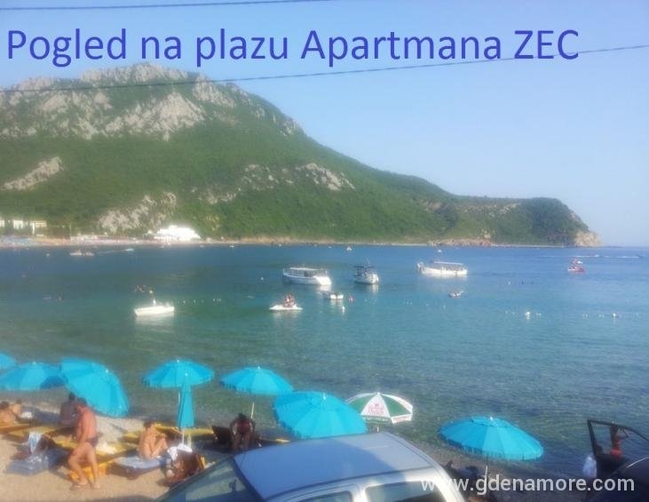 Plaza ZEC