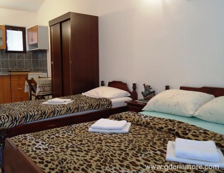 Apartman br.2