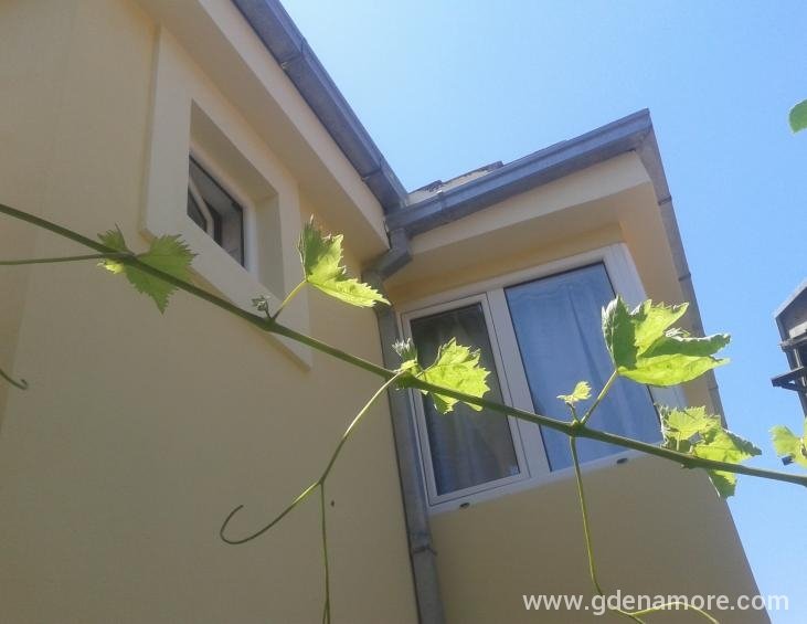 Apartman br. 5