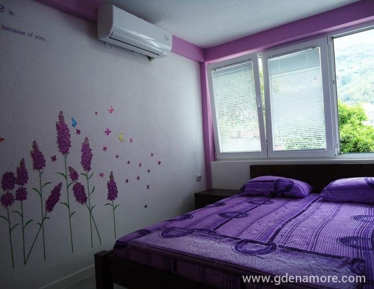 Apartman br.1