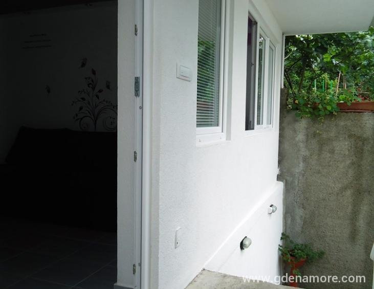 Apartman br.1