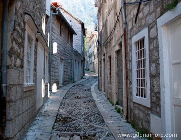 36.ul.gabela