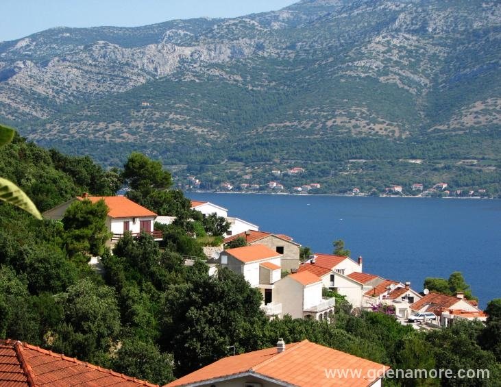 pogled