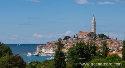 APP Petrović, privatni smeštaj u mestu Rovinj, Hrvatska