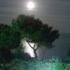 Villa Oasis, privatni smeštaj u mestu Halkidiki, Grčka - full moon