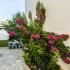 Afkos Apartments, private accommodation in city Polihrono, Greece