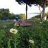Chalet Oasis, alojamiento privado en Nea Potidea, Grecia