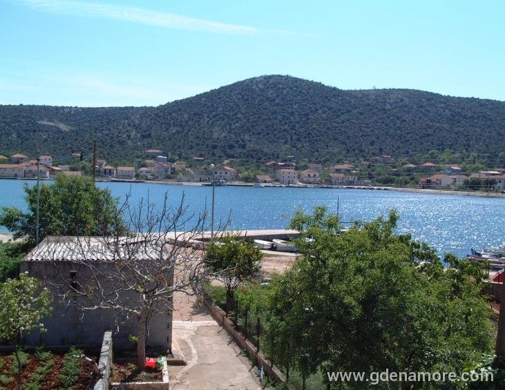 Pogled