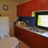 Apartmaji in sobe Delfini, zasebne nastanitve v mestu Thassos, Grčija