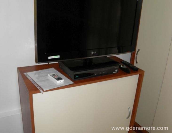 SAT-TV