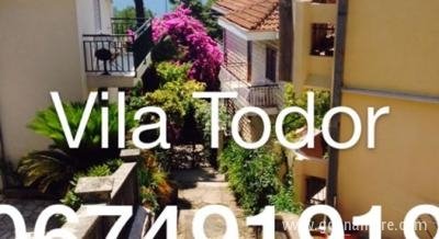 Vila Todor, privatni smeštaj u mestu Herceg Novi, Crna Gora