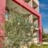 Apartments AmA, private accommodation in city Ulcinj, Montenegro - 30