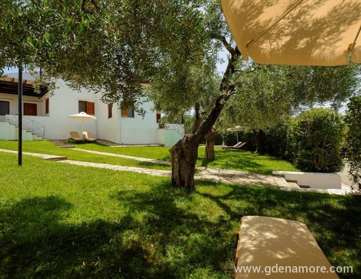 trikorfo-beach-resort-gerakini-sithonia-8