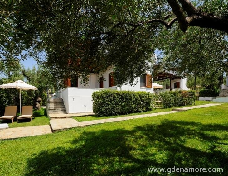 trikorfo-beach-resort-gerakini-sithonia-9