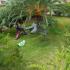Apartmaji v vili Ioanna, zasebne nastanitve v mestu Nikiti, Grčija - villa-ioanna-nikiti-sithonia-halkidiki-11