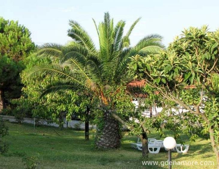 villa-ioanna-nikiti-sithonia-halkidiki-18