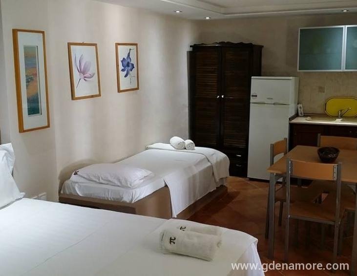 papaoikonomou-villa-studio-ground-floor-potos-thas