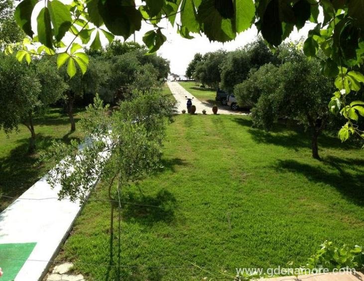 sissy-villa-san-antonio-beach-potos-thassos-11