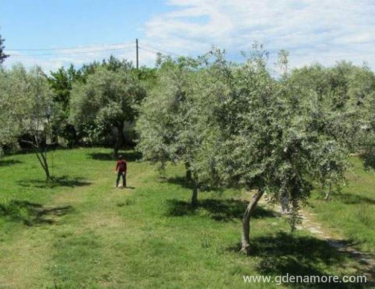 sissy-villa-san-antonio-beach-potos-thassos-13-
