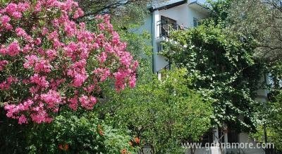 Apartmani Vujosevic , privatni smeštaj u mestu Šušanj, Crna Gora