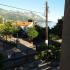 apartmani Pejović, Privatunterkunft im Ort Bečići, Montenegro - 20180513