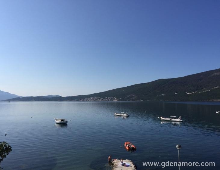 pogled