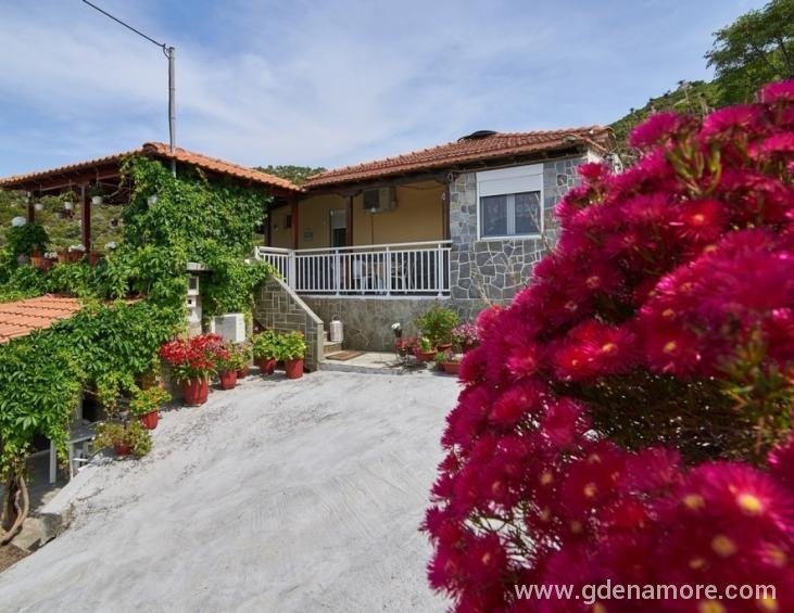 aggelina-house-sykia-sithonia-2