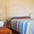 Dendrolivano Studios and Apartments, privatni smeštaj u mestu Kefalonia, Grčka - dendrolivano-studios-and-apartmens-minia-kefalonia