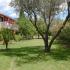 Dendrolivano Studios and Apartments, privatni smeštaj u mestu Kefalonia, Grčka - dendrolivano-studios-and-apartmens-minia-kefalonia