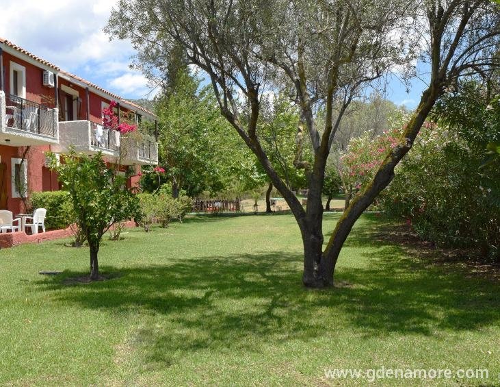 dendrolivano-studios-and-apartmens-minia-kefalonia