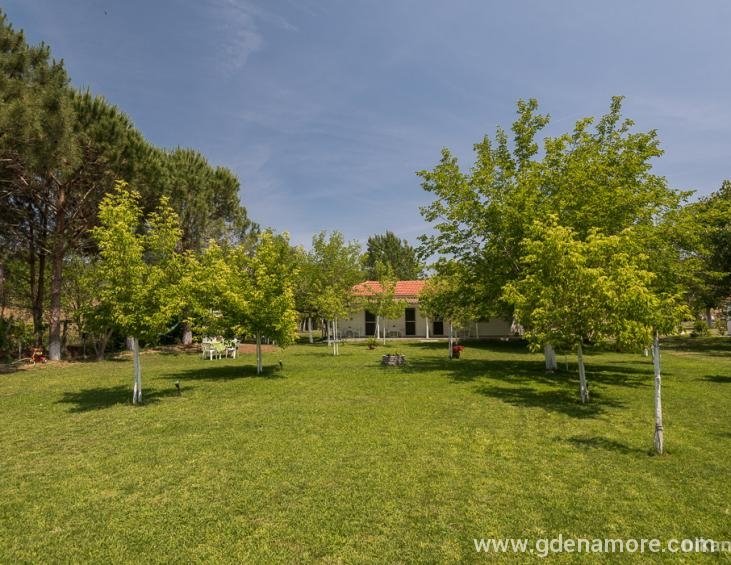 magda-rooms-sykia-sithonia-17