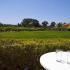 Mirtia Studios, private accommodation in city Kefalonia, Greece - mirtia-studios-argostoli-kefalonia-18