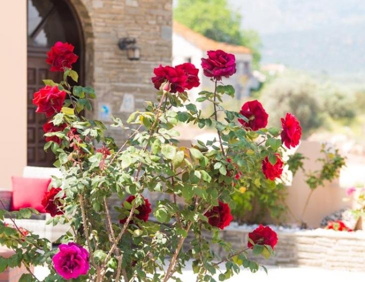 oasis-villa-limenaria-thassos-9