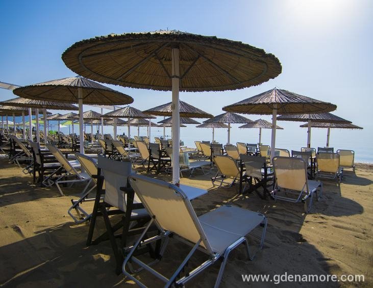 pansion-electra-paralia-vrasna-thessaloniki-cafe-b