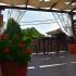 Pavlos chambres, logement privé à Thassos, Gr&egrave;ce - pavlos-studios-golden-beach-thassos-26