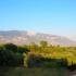 Apartmaji Pernari, zasebne nastanitve v mestu Kefalonia, Grčija - pernari-apartments-spartia-kefalonia-2