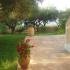 KAVOS PSAROU STUDIOS &amp; APARTMENTS, privatni smeštaj u mestu Zakynthos, Grčka - 08