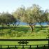 KAVOS PSAROU STUDIOS &amp; APARTMENTS, privatni smeštaj u mestu Zakynthos, Grčka - 13