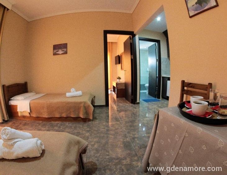 epavli-studios-nea-kallikratia-kassandra-4-bed-apa